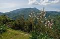 IMG_5457